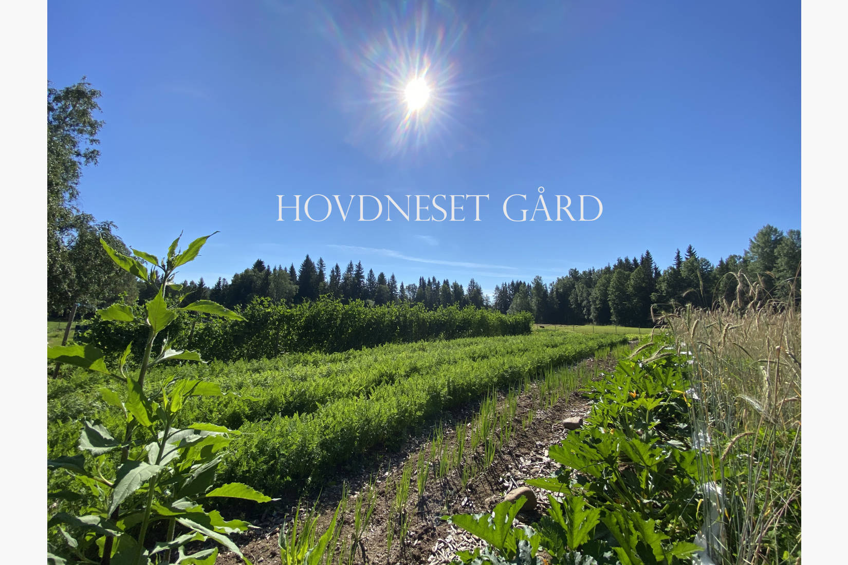 Hovdneset Gård